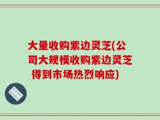 大量收购紫边灵芝(公司大规模收购紫边灵芝 得到市场热烈响应)