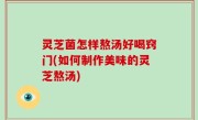 灵芝菌怎样熬汤好喝窍门(如何制作美味的灵芝熬汤)