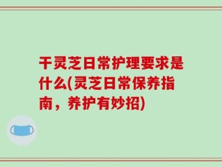 干灵芝日常护理要求是什么(灵芝日常保养指南，养护有妙招)