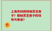 上海农科院特级灵芝孢子？探秘灵芝孢子的功效与用途？
