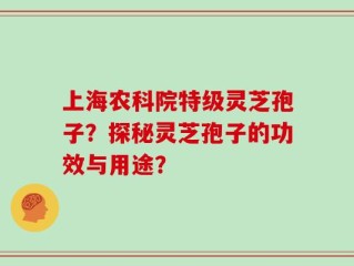 上海农科院特级灵芝孢子？探秘灵芝孢子的功效与用途？