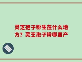 灵芝孢子粉生在什么地方？灵芝孢子粉哪里产