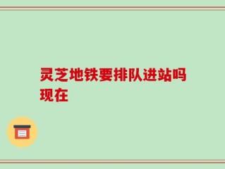 灵芝地铁要排队进站吗现在