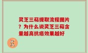 灵芝三萜提取流程图片？为什么说灵芝三萜含量越高抗癌效果越好