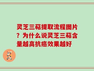灵芝三萜提取流程图片？为什么说灵芝三萜含量越高抗癌效果越好