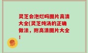 灵芝会泡烂吗图片高清大全(灵芝炖汤的正确做法，附高清图片大全！