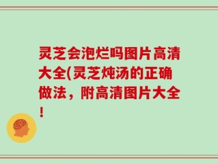 灵芝会泡烂吗图片高清大全(灵芝炖汤的正确做法，附高清图片大全！