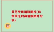 灵芝专用酒瓶图片(珍贵灵芝封藏酒瓶图片分享)