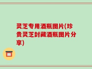 灵芝专用酒瓶图片(珍贵灵芝封藏酒瓶图片分享)