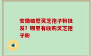 安徽破壁灵芝孢子粉批发？哪里有收购灵芝孢子粉