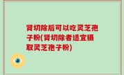 肾切除后可以吃灵芝孢子粉(肾切除者适宜摄取灵芝孢子粉)