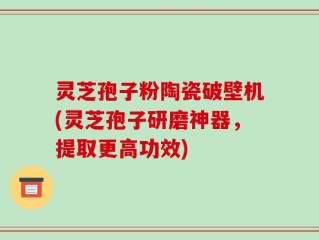 灵芝孢子粉陶瓷破壁机(灵芝孢子研磨神器，提取更高功效)