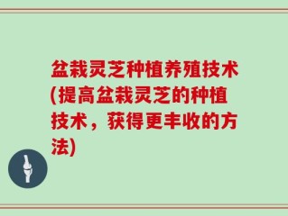 盆栽灵芝种植养殖技术(提高盆栽灵芝的种植技术，获得更丰收的方法)