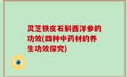灵芝铁皮石斛西洋参的功效(四种中药材的养生功效探究)