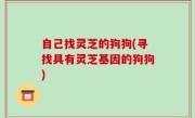 自己找灵芝的狗狗(寻找具有灵芝基因的狗狗)