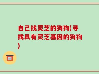 自己找灵芝的狗狗(寻找具有灵芝基因的狗狗)
