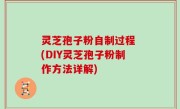 灵芝孢子粉自制过程 (DIY灵芝孢子粉制作方法详解)