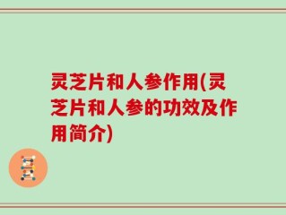 灵芝片和人参作用(灵芝片和人参的功效及作用简介)