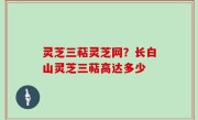 灵芝三萜灵芝网？长白山灵芝三萜高达多少