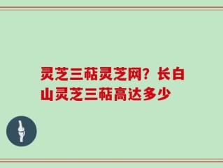 灵芝三萜灵芝网？长白山灵芝三萜高达多少