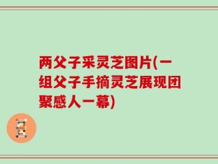 两父子采灵芝图片(一组父子手摘灵芝展现团聚感人一幕)
