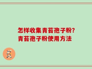 怎样收集青苔孢子粉？青苔孢子粉使用方法