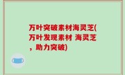 万叶突破素材海灵芝(万叶发现素材 海灵芝，助力突破)