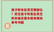 孢子粉生在灵芝那部位？灵芝孢子究竟在灵芝的伞面还是伞底有相关参考书籍