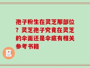 孢子粉生在灵芝那部位？灵芝孢子究竟在灵芝的伞面还是伞底有相关参考书籍