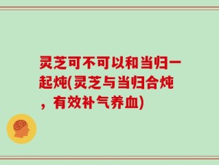 灵芝可不可以和当归一起炖(灵芝与当归合炖，有效补气养血)