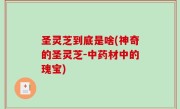圣灵芝到底是啥(神奇的圣灵芝-中药材中的瑰宝)