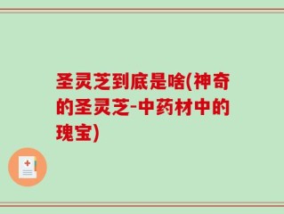 圣灵芝到底是啥(神奇的圣灵芝-中药材中的瑰宝)