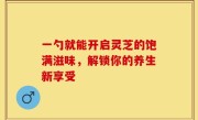 一勺就能开启灵芝的饱满滋味，解锁你的养生新享受