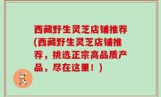 西藏野生灵芝店铺推荐(西藏野生灵芝店铺推荐，挑选正宗高品质产品，尽在这里！)