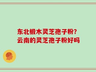 东北椴木灵芝孢子粉？云南的灵芝孢子粉好吗