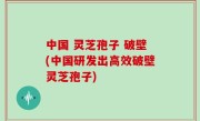 中国 灵芝孢子 破壁(中国研发出高效破壁灵芝孢子)