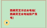 西藏灵芝冷达水电站(西藏灵芝水电站投产发电)