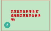 灵芝盆景生长环境(打造理想灵芝盆景生长场所)