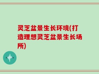 灵芝盆景生长环境(打造理想灵芝盆景生长场所)