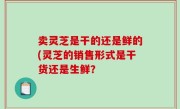 卖灵芝是干的还是鲜的(灵芝的销售形式是干货还是生鲜？