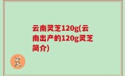 云南灵芝120g(云南出产的120g灵芝简介)