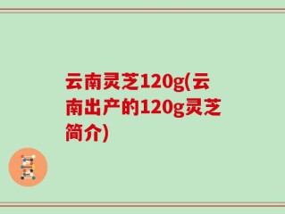 云南灵芝120g(云南出产的120g灵芝简介)