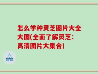 怎么学种灵芝图片大全大图(全面了解灵芝：高清图片大集合)