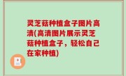 灵芝菇种植盒子图片高清(高清图片展示灵芝菇种植盒子，轻松自己在家种植)