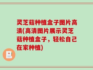 灵芝菇种植盒子图片高清(高清图片展示灵芝菇种植盒子，轻松自己在家种植)