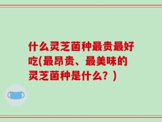 什么灵芝菌种最贵最好吃(最昂贵、最美味的灵芝菌种是什么？)