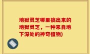 地狱灵芝哪里搞出来的地狱灵芝，一种来自地下深处的神奇植物)