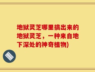 地狱灵芝哪里搞出来的地狱灵芝，一种来自地下深处的神奇植物)