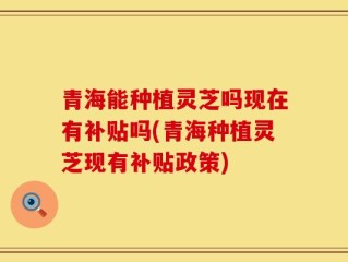 青海能种植灵芝吗现在有补贴吗(青海种植灵芝现有补贴政策)