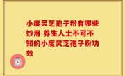 小度灵芝孢子粉有哪些妙用 养生人士不可不知的小度灵芝孢子粉功效